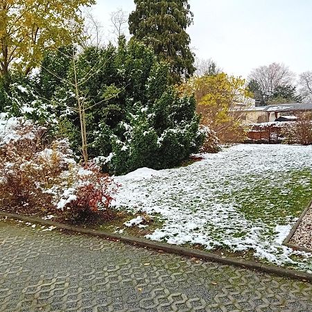 Top Ferienwohnung In Sehr Guter Lage Dresden Eksteriør billede