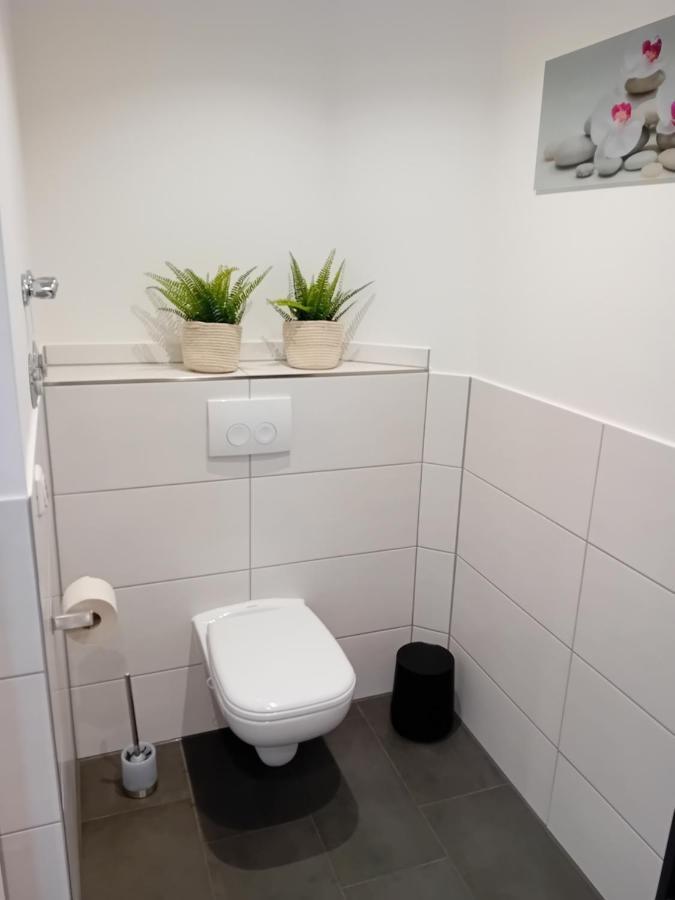 Top Ferienwohnung In Sehr Guter Lage Dresden Eksteriør billede